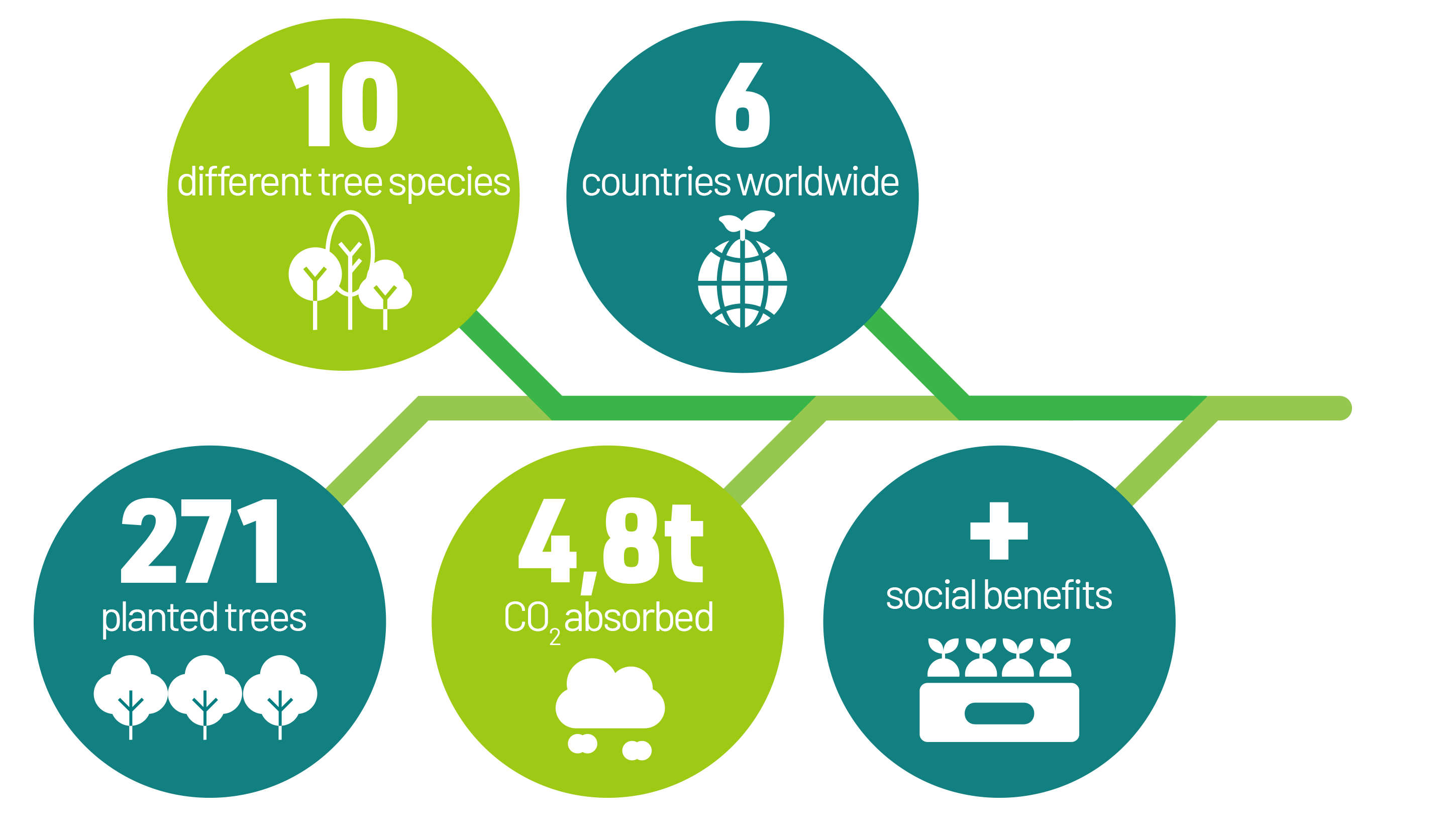 infografica-foresta (EN)
